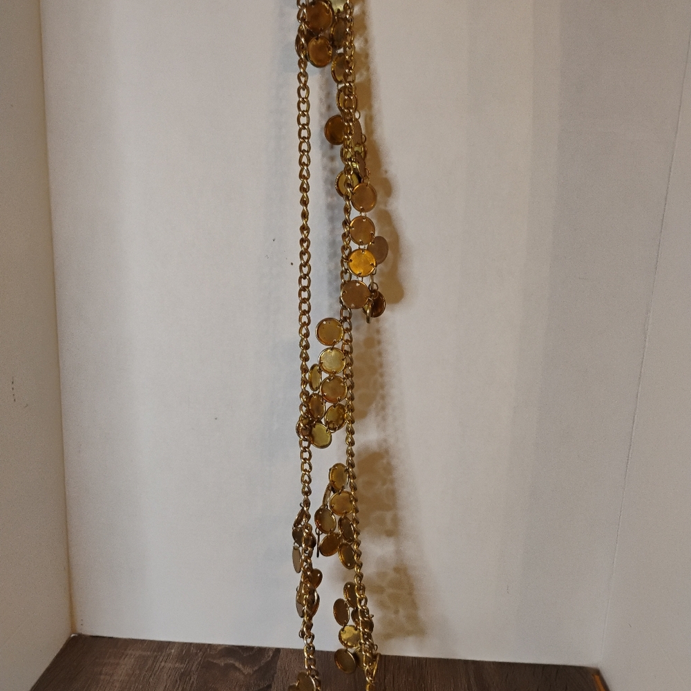 Cluster Coin/Chain Belt - Picture 1 of 5